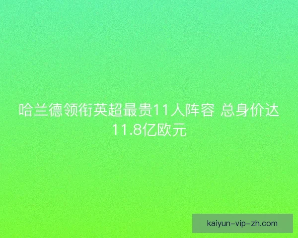 哈兰德领衔英超最贵11人阵容 总身价达11.8亿欧元