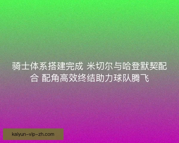 骑士体系搭建完成 米切尔与哈登默契配合 配角高效终结助力球队腾飞